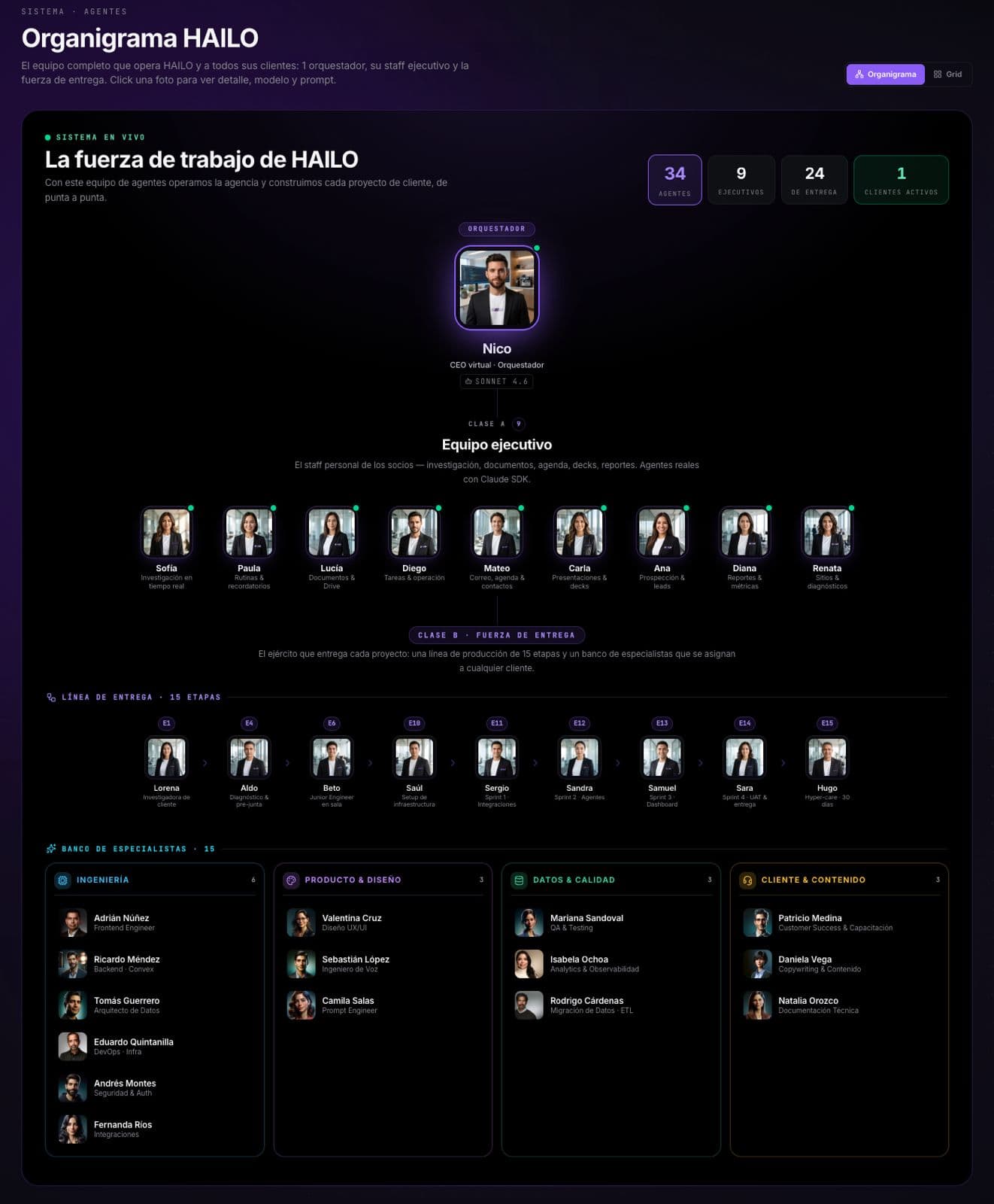 HAILO portfolio preview